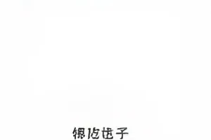 《碎月纪事》封面：夜空中碎裂的月影与屋檐
