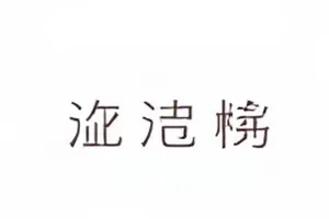 《纸上回乡》封面：摊开的笔记本与夹在其中的车票